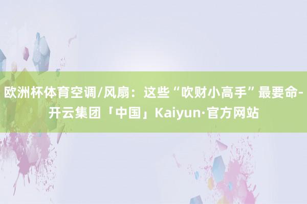 欧洲杯体育空调/风扇：这些“吹财小高手”最要命-开云集团「中国」Kaiyun·官方网站