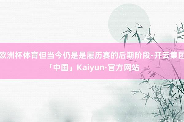 欧洲杯体育但当今仍是是履历赛的后期阶段-开云集团「中国」Kaiyun·官方网站