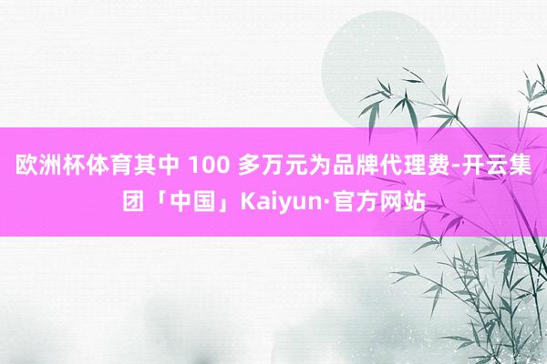 欧洲杯体育其中 100 多万元为品牌代理费-开云集团「中国」Kaiyun·官方网站
