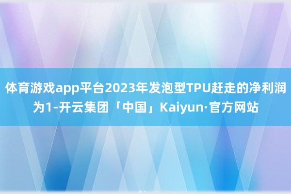 体育游戏app平台2023年发泡型TPU赶走的净利润为1-开云集团「中国」Kaiyun·官方网站