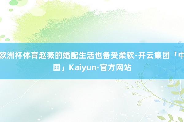 欧洲杯体育赵薇的婚配生活也备受柔软-开云集团「中国」Kaiyun·官方网站