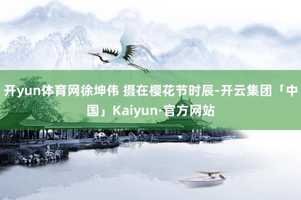 开yun体育网徐坤伟 摄在樱花节时辰-开云集团「中国」Kaiyun·官方网站