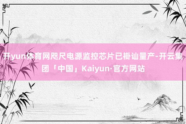 开yun体育网咫尺电源监控芯片已褂讪量产-开云集团「中国」Kaiyun·官方网站