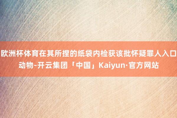 欧洲杯体育在其所捏的纸袋内检获该批怀疑罪人入口动物-开云集团「中国」Kaiyun·官方网站