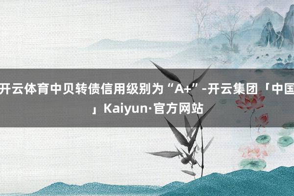 开云体育中贝转债信用级别为“A+”-开云集团「中国」Kaiyun·官方网站