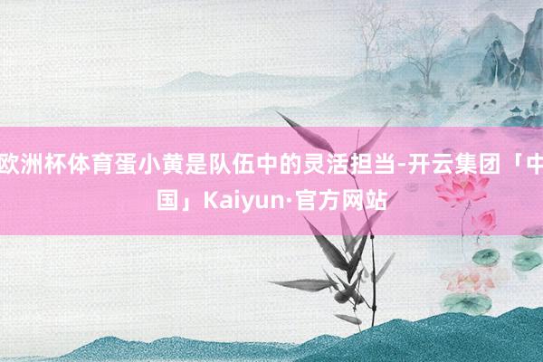 欧洲杯体育蛋小黄是队伍中的灵活担当-开云集团「中国」Kaiyun·官方网站