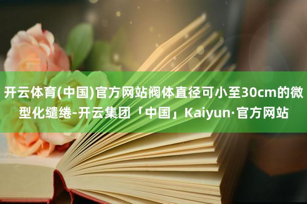开云体育(中国)官方网站阀体直径可小至30cm的微型化缱绻-开云集团「中国」Kaiyun·官方网站