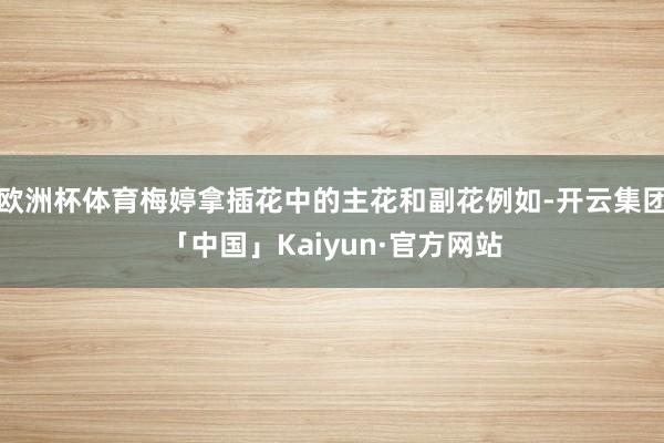 欧洲杯体育梅婷拿插花中的主花和副花例如-开云集团「中国」Kaiyun·官方网站